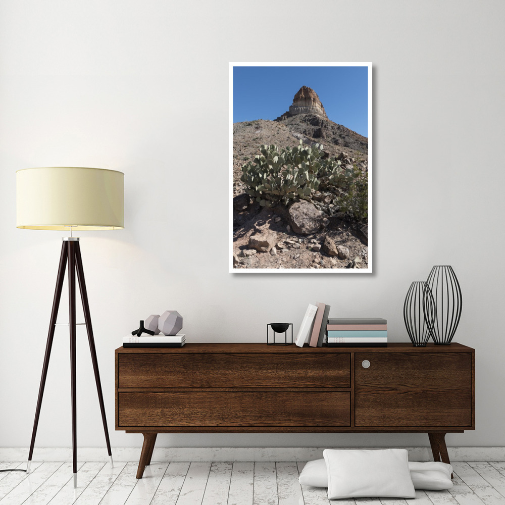 Prickly Pear Cactus and scenery in Big Bend National Park, TX-Paper Art-34&quotx50"