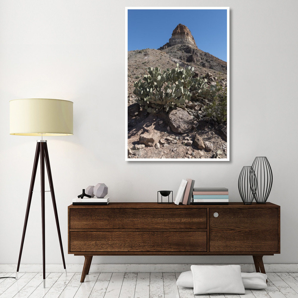 Prickly Pear Cactus and scenery in Big Bend National Park, TX-Paper Art-42&quotx62"