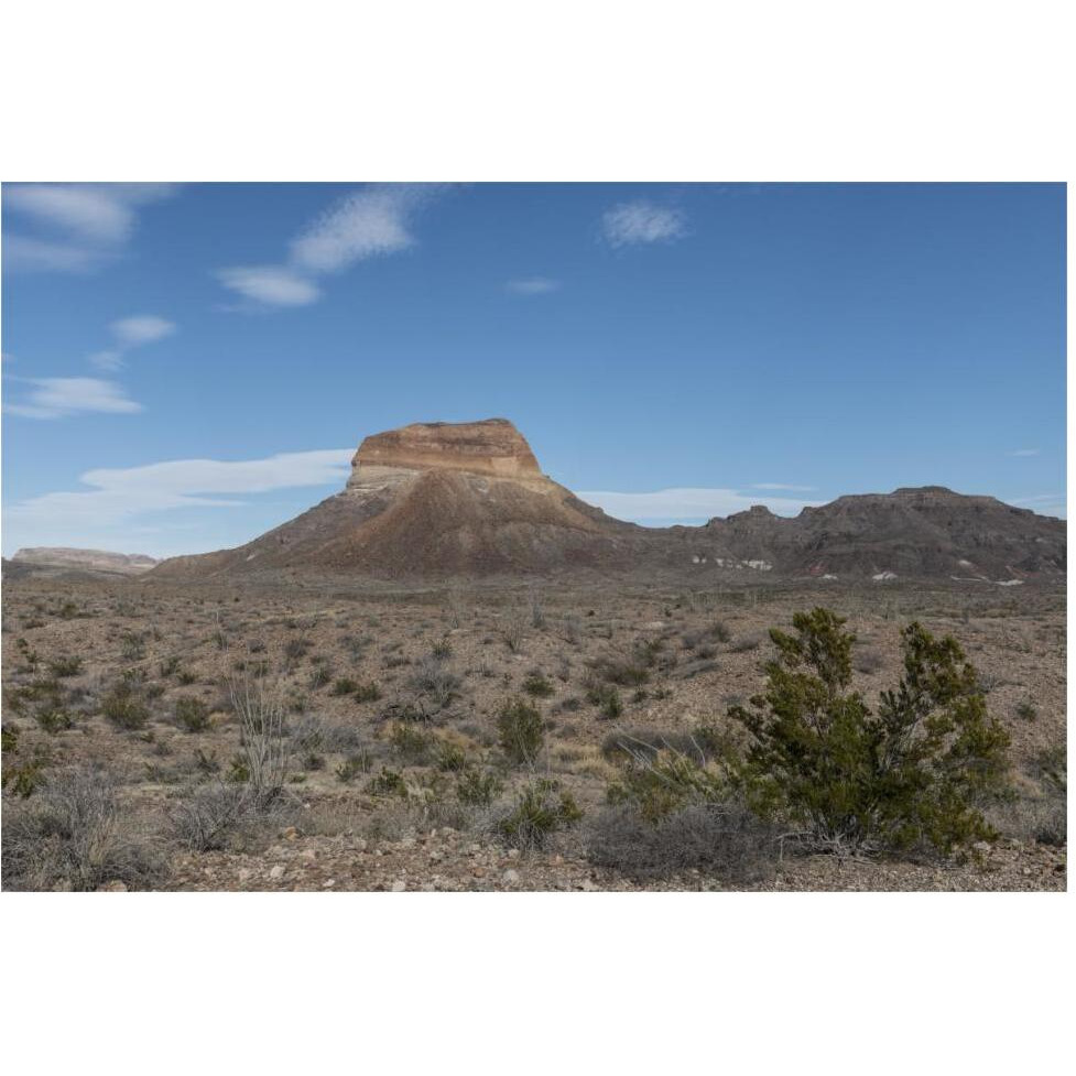 Scenery in Big Bend National Park, TX-Paper Art-62&quotx42"