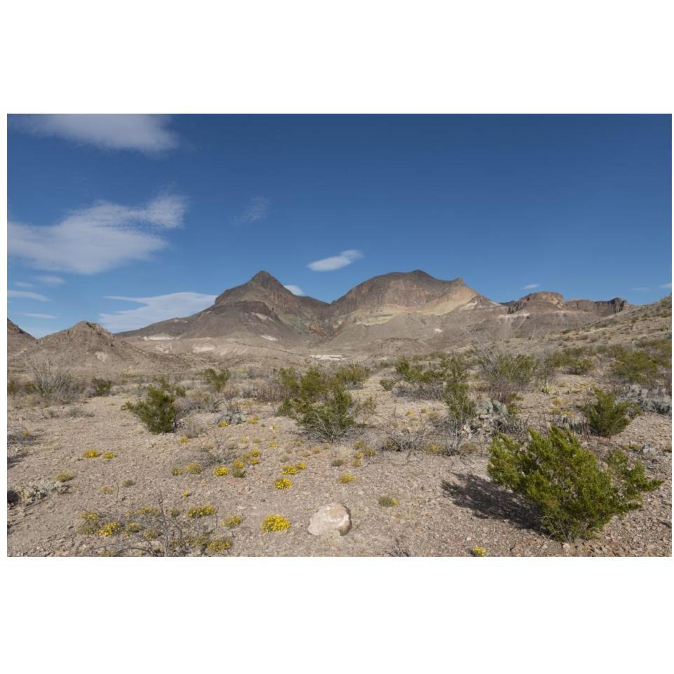 Scenery in Big Bend National Park, TX-Paper Art-20&quotx14"