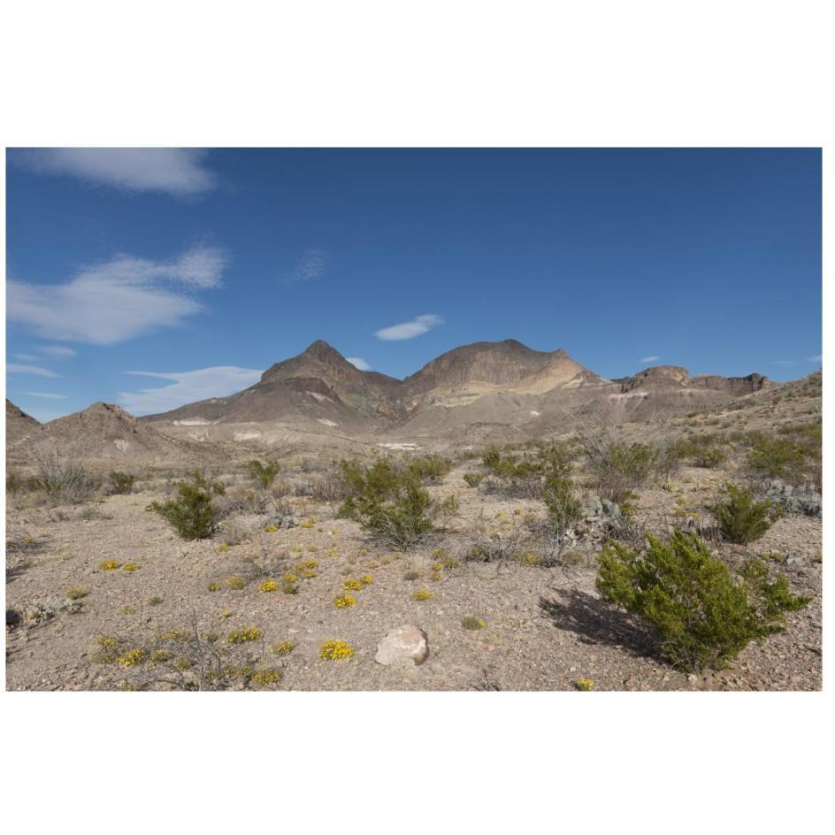 Scenery in Big Bend National Park, TX-Paper Art-26&quotx18"