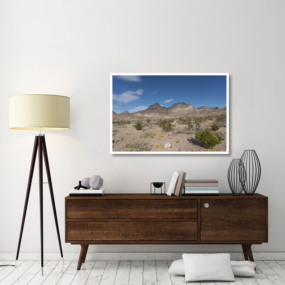 Scenery in Big Bend National Park, TX-Paper Art-50&quotx34"