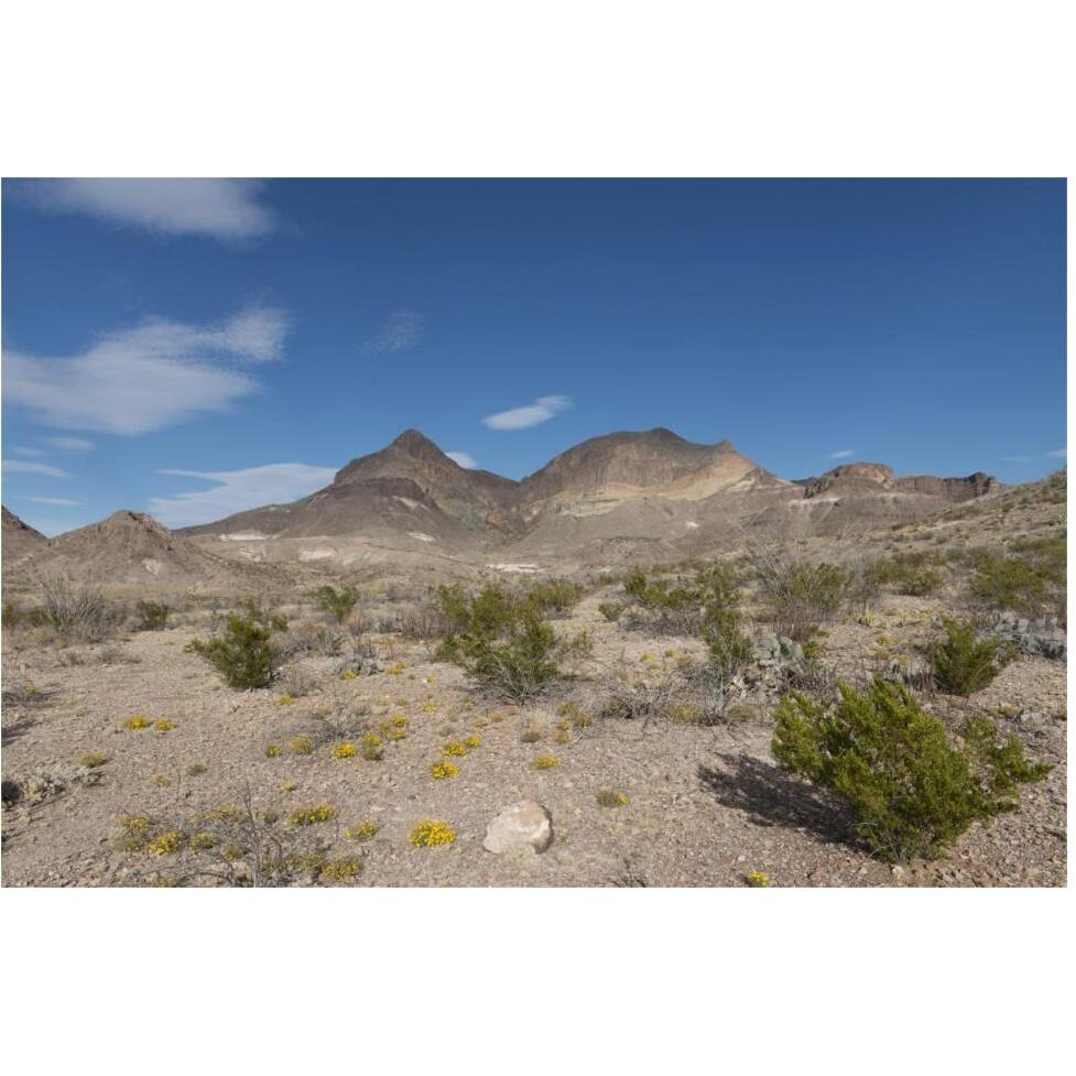 Scenery in Big Bend National Park, TX-Paper Art-62&quotx42"