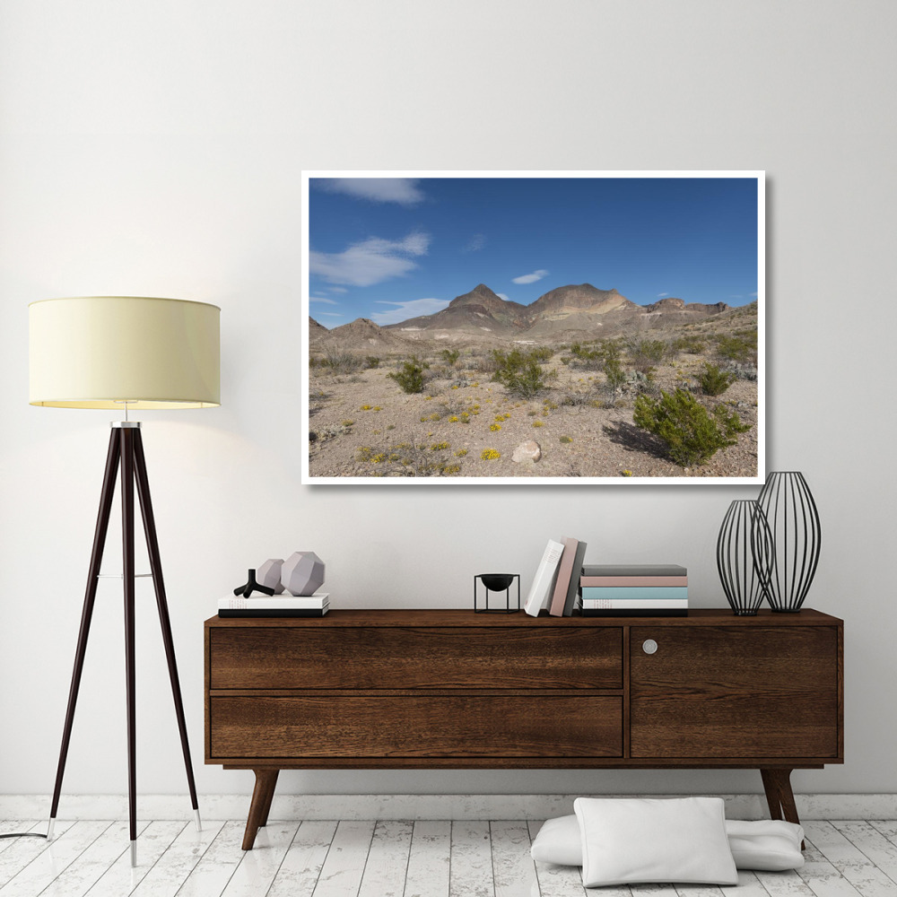 Scenery in Big Bend National Park, TX-Paper Art-62&quotx42"