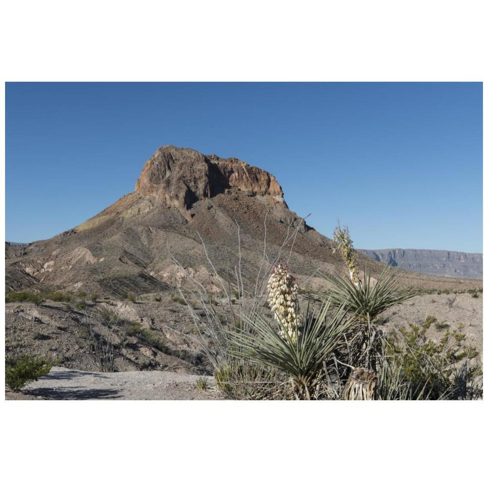 Scene from Big Bend National Park in Brewster County, TX-Paper Art-20&quotx14"