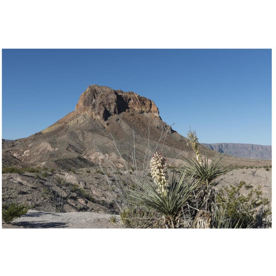 Scene from Big Bend National Park in Brewster County, TX-Paper Art-26&quotx18"