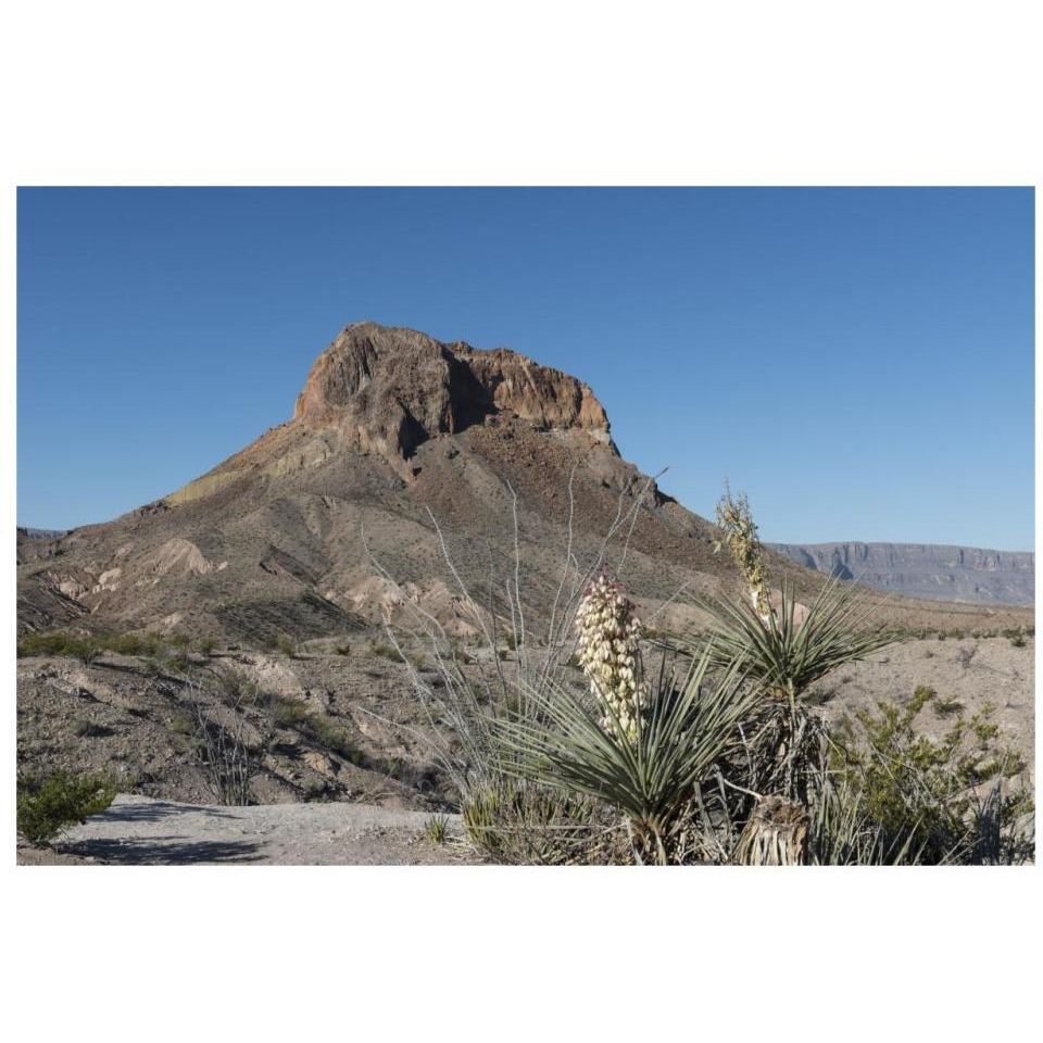 Scene from Big Bend National Park in Brewster County, TX-Paper Art-32&quotx22"