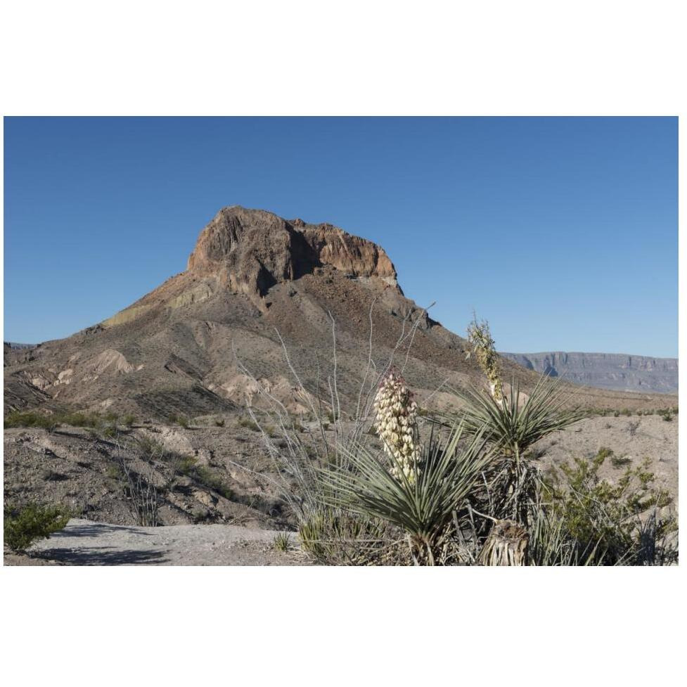 Scene from Big Bend National Park in Brewster County, TX-Paper Art-50&quotx34"