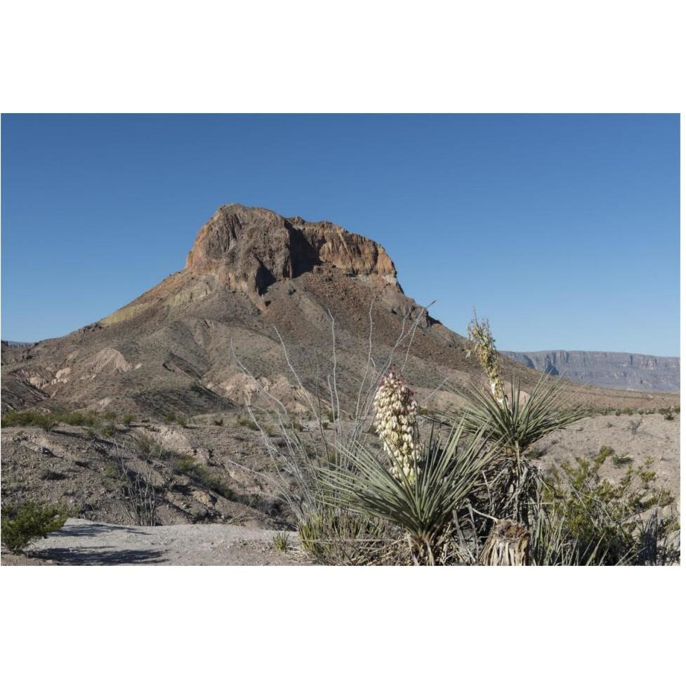 Scene from Big Bend National Park in Brewster County, TX-Paper Art-62&quotx42"