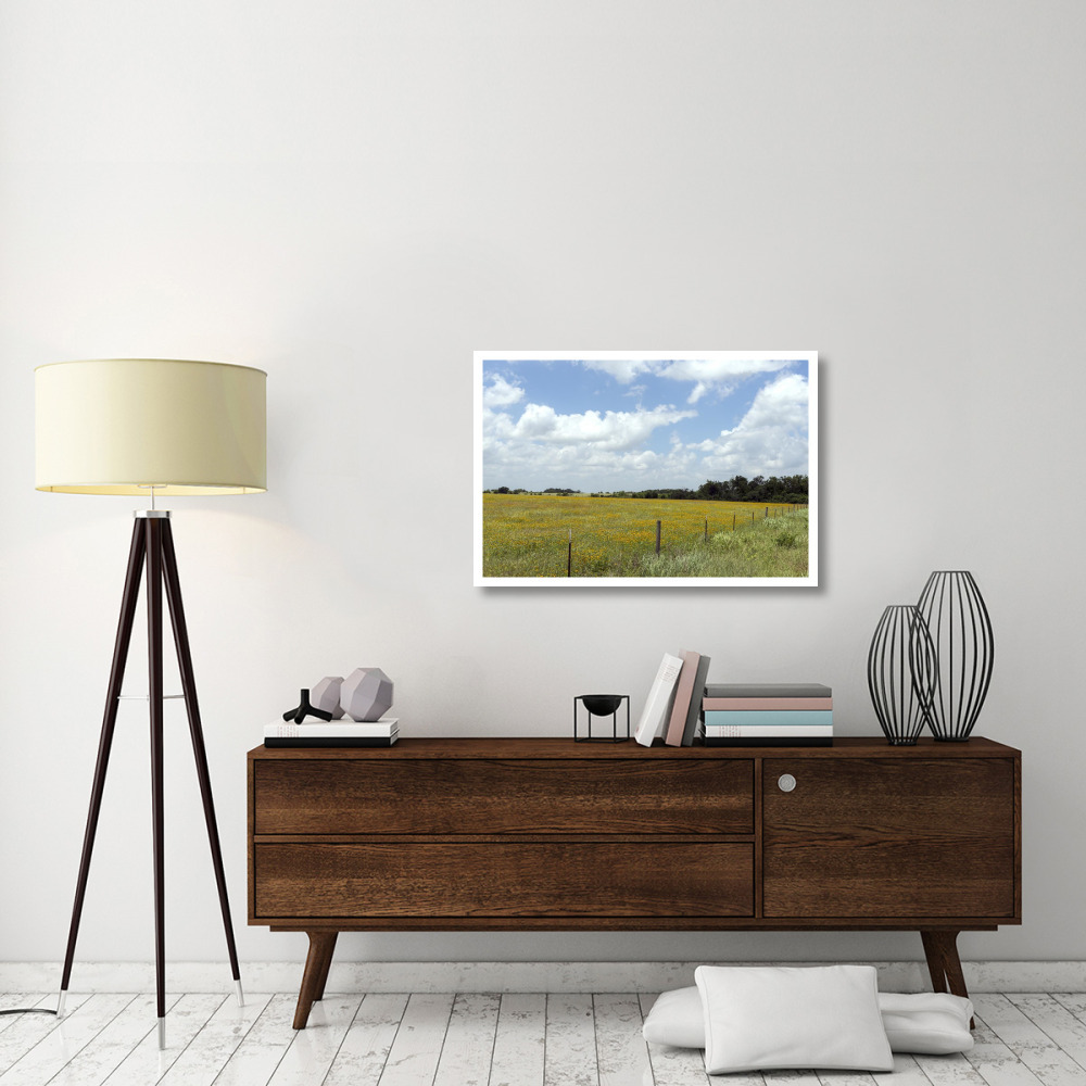 A field of wildflowers near Chappel Hill in Austin County, TX, 2014-Paper Art-38&quotx26"