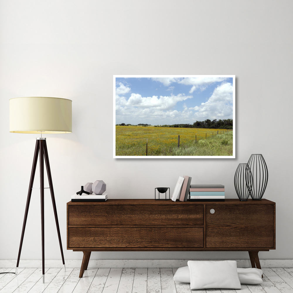 A field of wildflowers near Chappel Hill in Austin County, TX, 2014-Paper Art-50&quotx34"