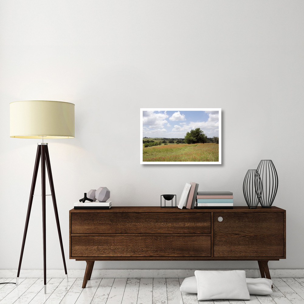 A field of wildflowers near Chappel Hill in Austin County, TX, 2014-Paper Art-32&quotx22"