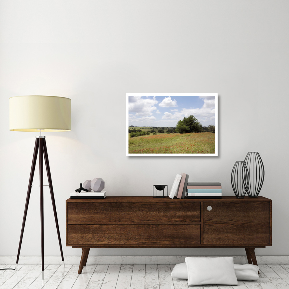 A field of wildflowers near Chappel Hill in Austin County, TX, 2014-Paper Art-38&quotx26"