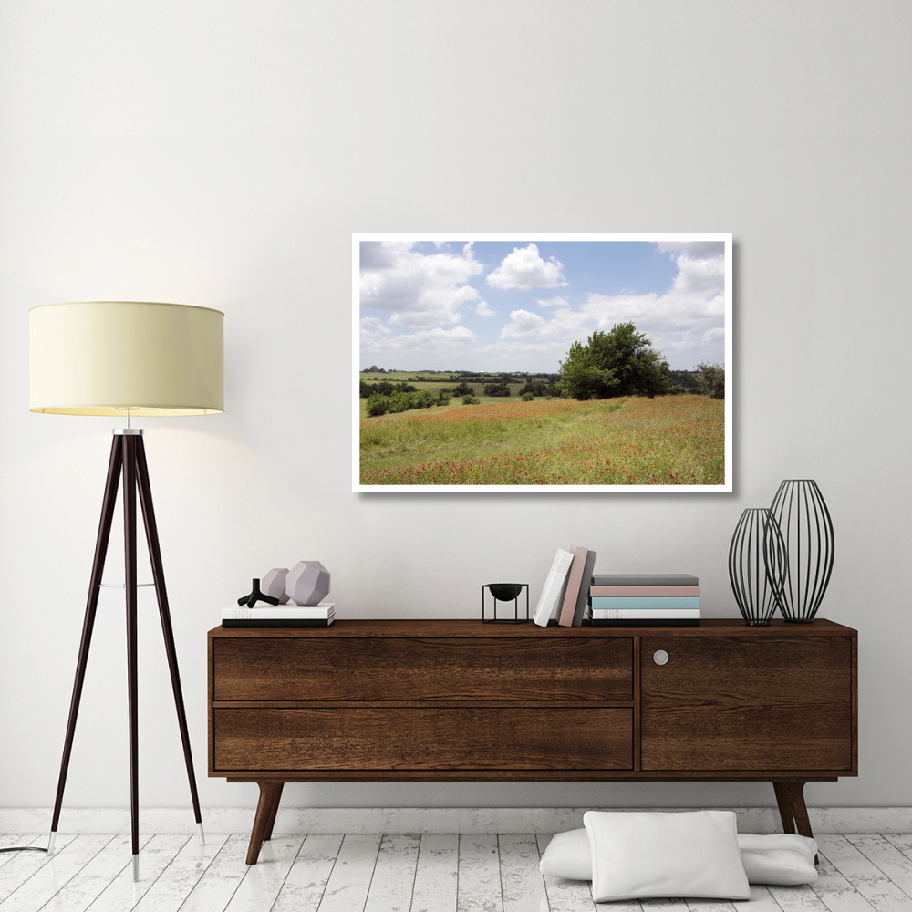 A field of wildflowers near Chappel Hill in Austin County, TX, 2014-Paper Art-50&quotx34"