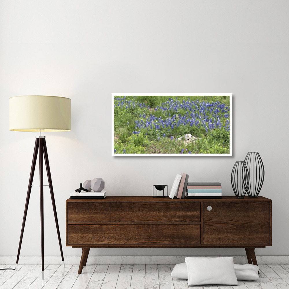 Bluebonnets at the Lady Bird Johnson Wildflower Center, near Austin, TX-Paper Art-50&quotx26"