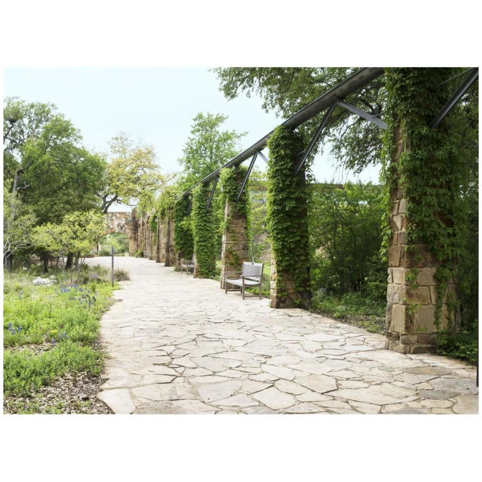 Paved walkway at the Lady Bird Johnson Wildflower Center, near Austin, TX-Paper Art-26&quotx20"
