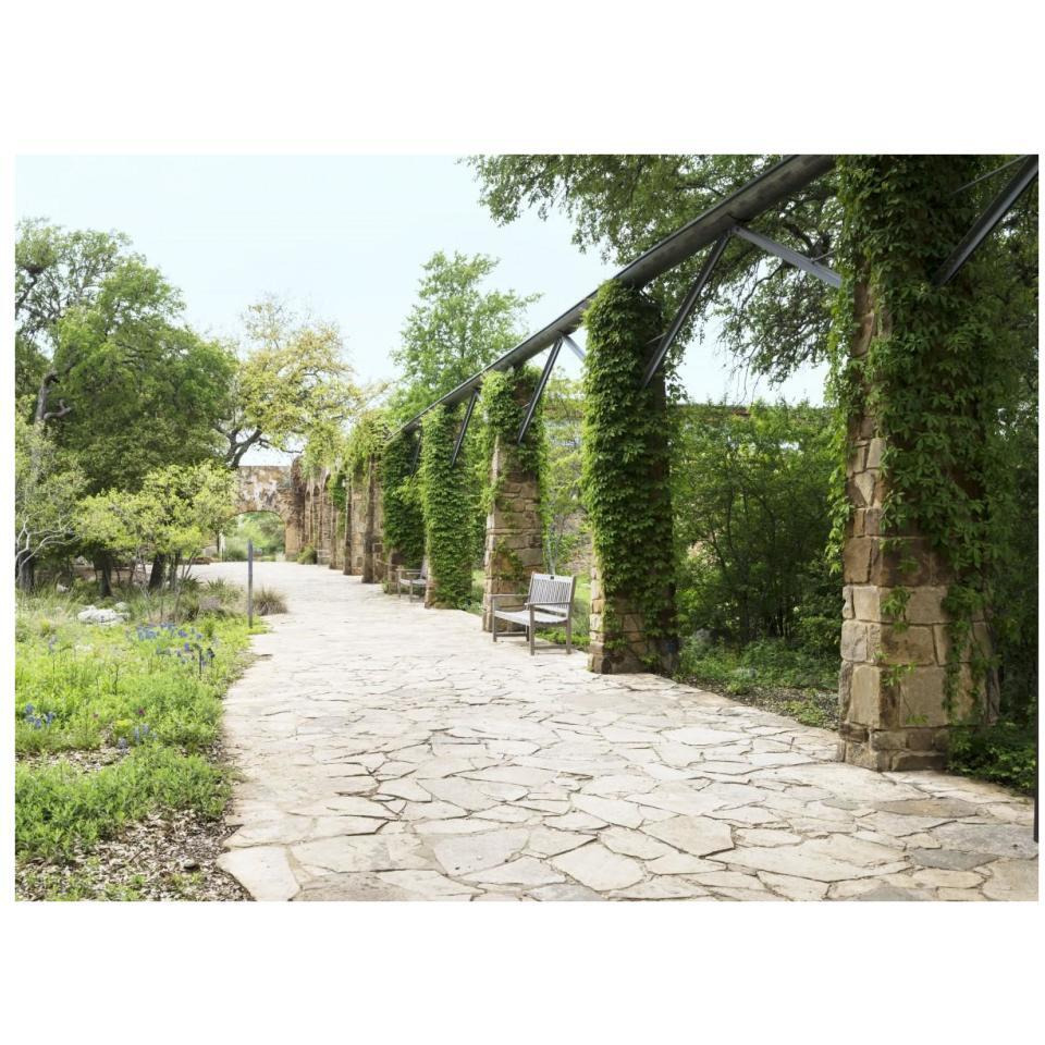 Paved walkway at the Lady Bird Johnson Wildflower Center, near Austin, TX-Paper Art-34&quotx26"