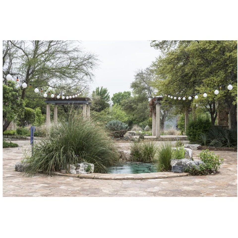 Water feature in a courtyard at the Lady Bird Johnson Wildflower Center, near Austin, TX-Paper Art-38&quotx26"