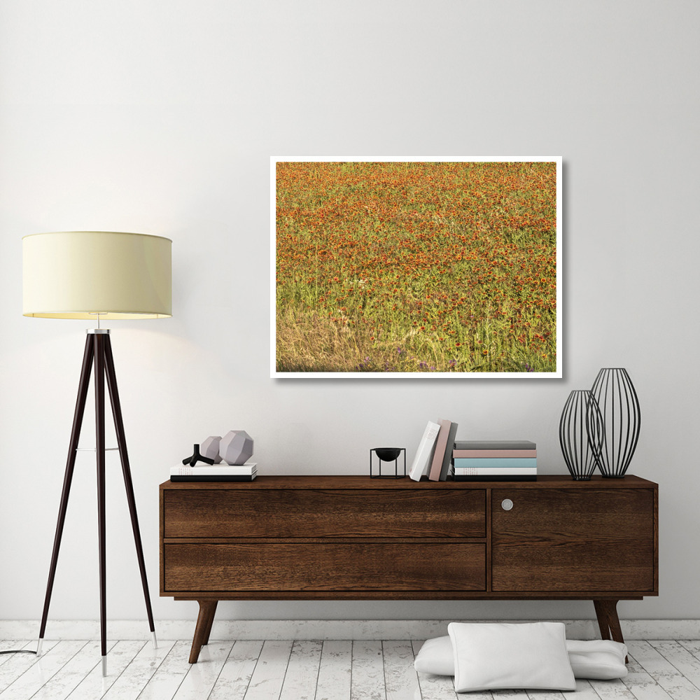 A field of wildflowers near the town of Tenton in Fannin County, TX, 2014-Paper Art-50&quotx38"