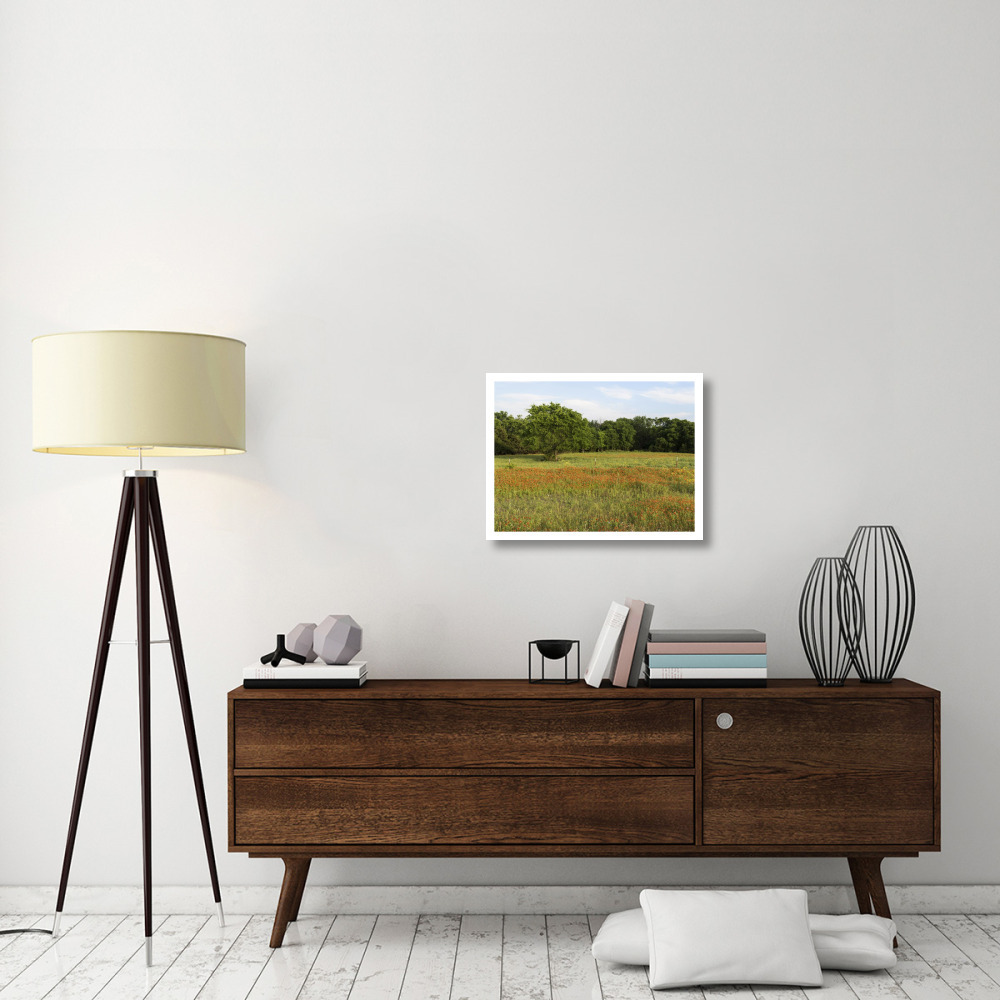 A field of wildflowers near the town of Trenton in Fannin County in Northeast Texas-Paper Art-26&quotx20"