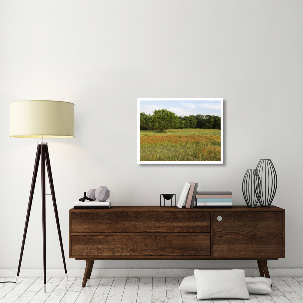 A field of wildflowers near the town of Trenton in Fannin County in Northeast Texas-Paper Art-34&quotx26"