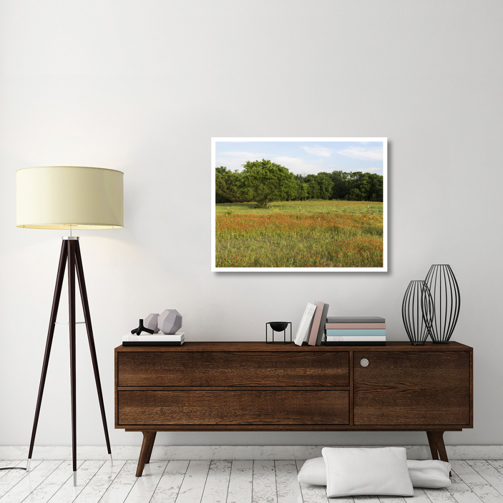 A field of wildflowers near the town of Trenton in Fannin County in Northeast Texas-Paper Art-42&quotx32"