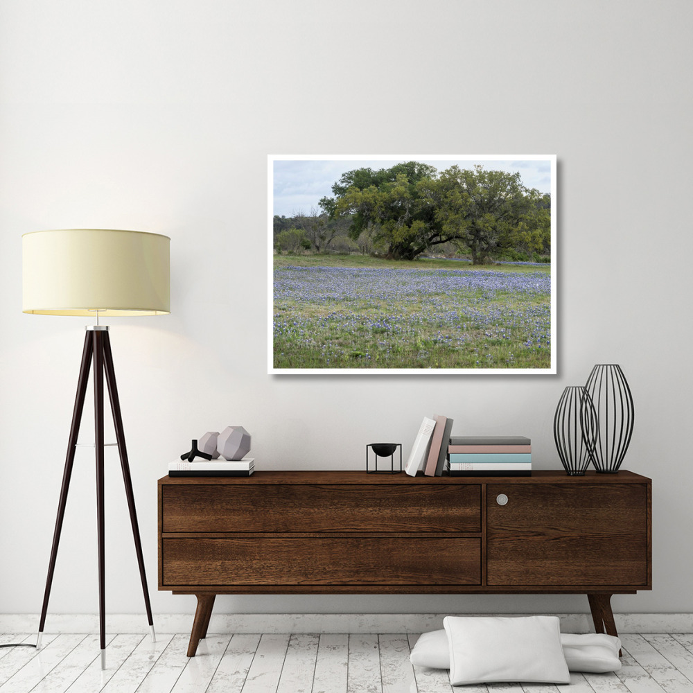 Field of bluebonnets in the Texas Hill Country, near Burnet-Paper Art-50&quotx38"