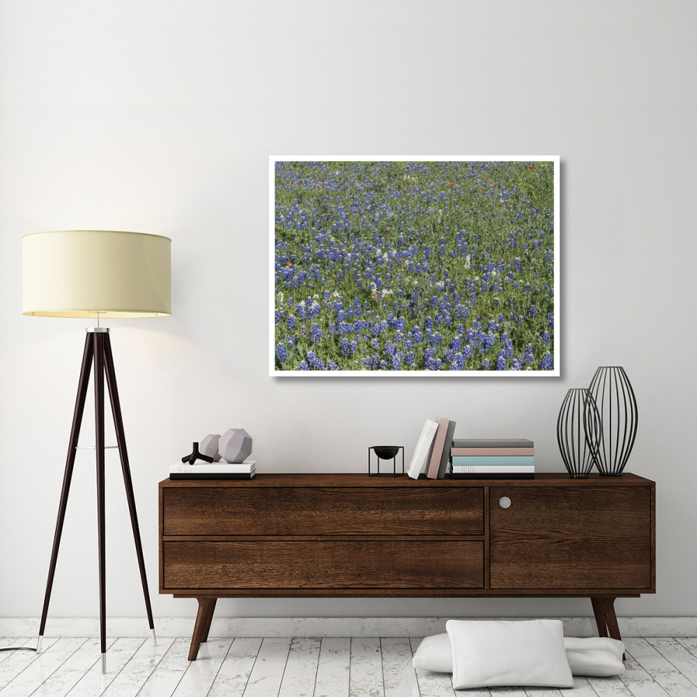 Bluebonnets, Fredericksburg, TX-Paper Art-50&quotx38"