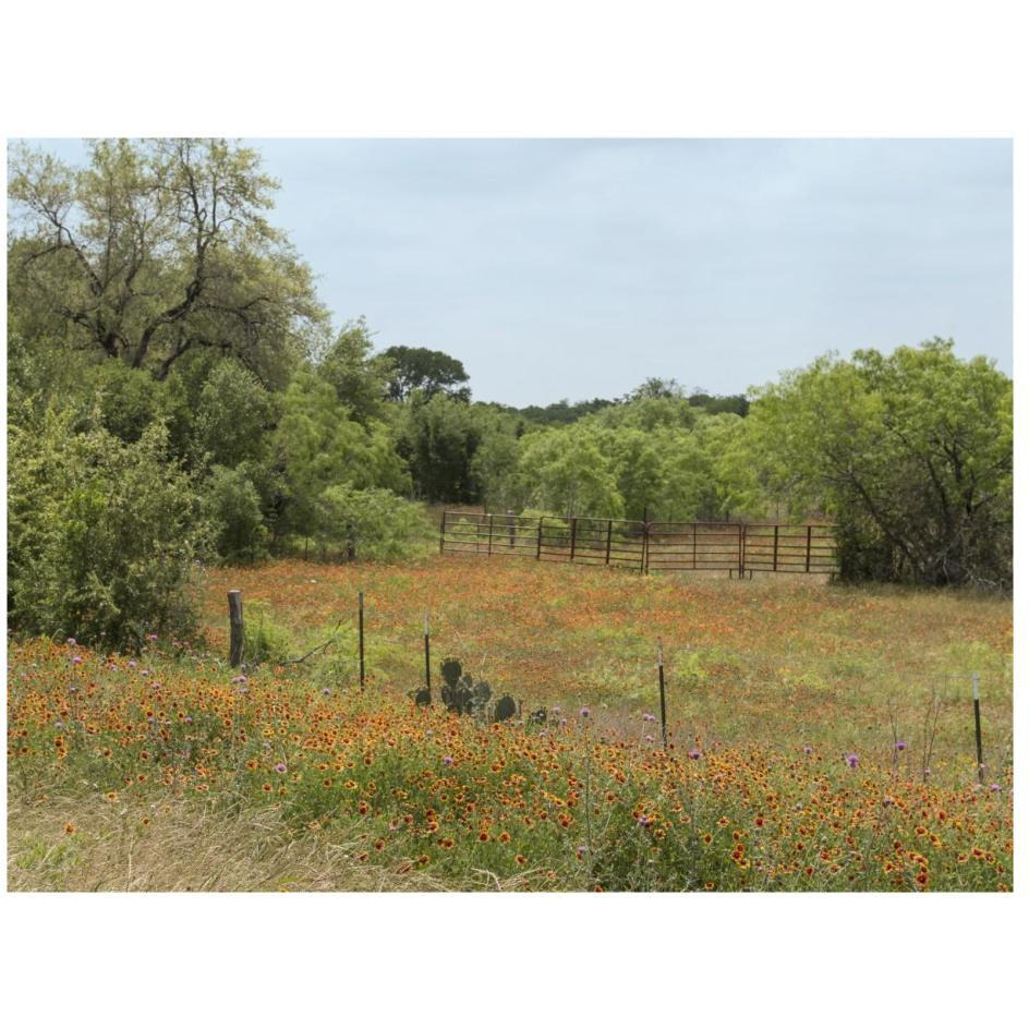 Field of wildflowers in Gonzales County, TX-Paper Art-26&quotx20"