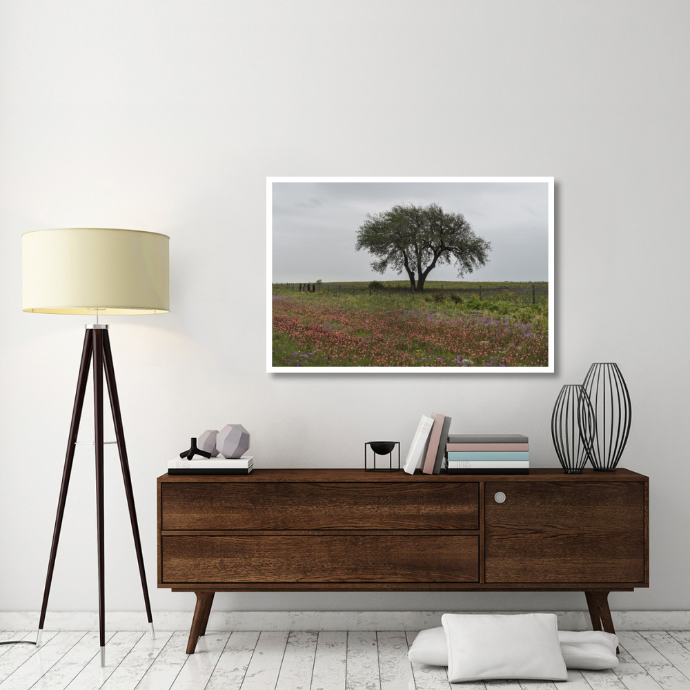 Wildflower field near Poteet in Atascosa County, TX-Paper Art-50&quotx34"