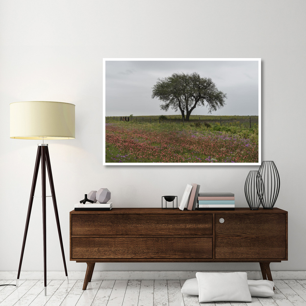 Wildflower field near Poteet in Atascosa County, TX-Paper Art-62&quotx42"