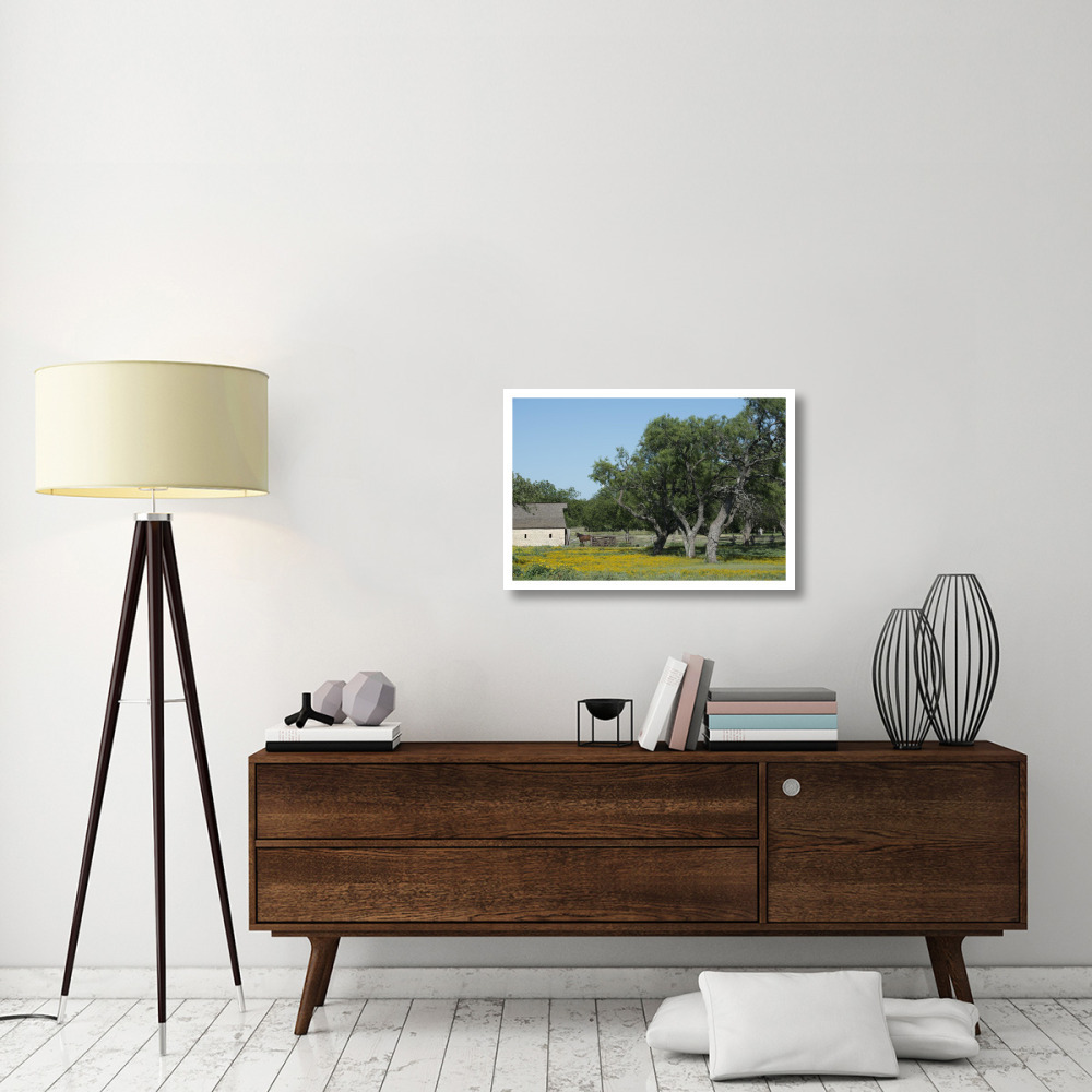 Horse on a meadow in the Lyndon B. Johnson National Historical Park in Johnson City, TX-Paper Art-32&quotx22"