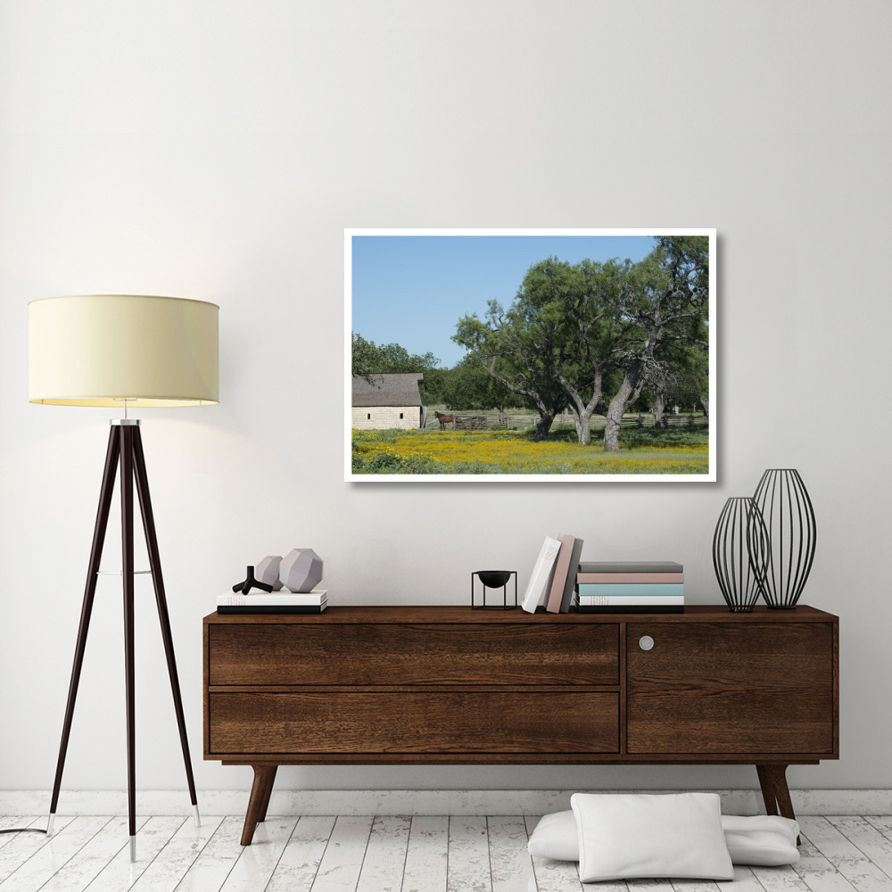 Horse on a meadow in the Lyndon B. Johnson National Historical Park in Johnson City, TX-Paper Art-50&quotx34"