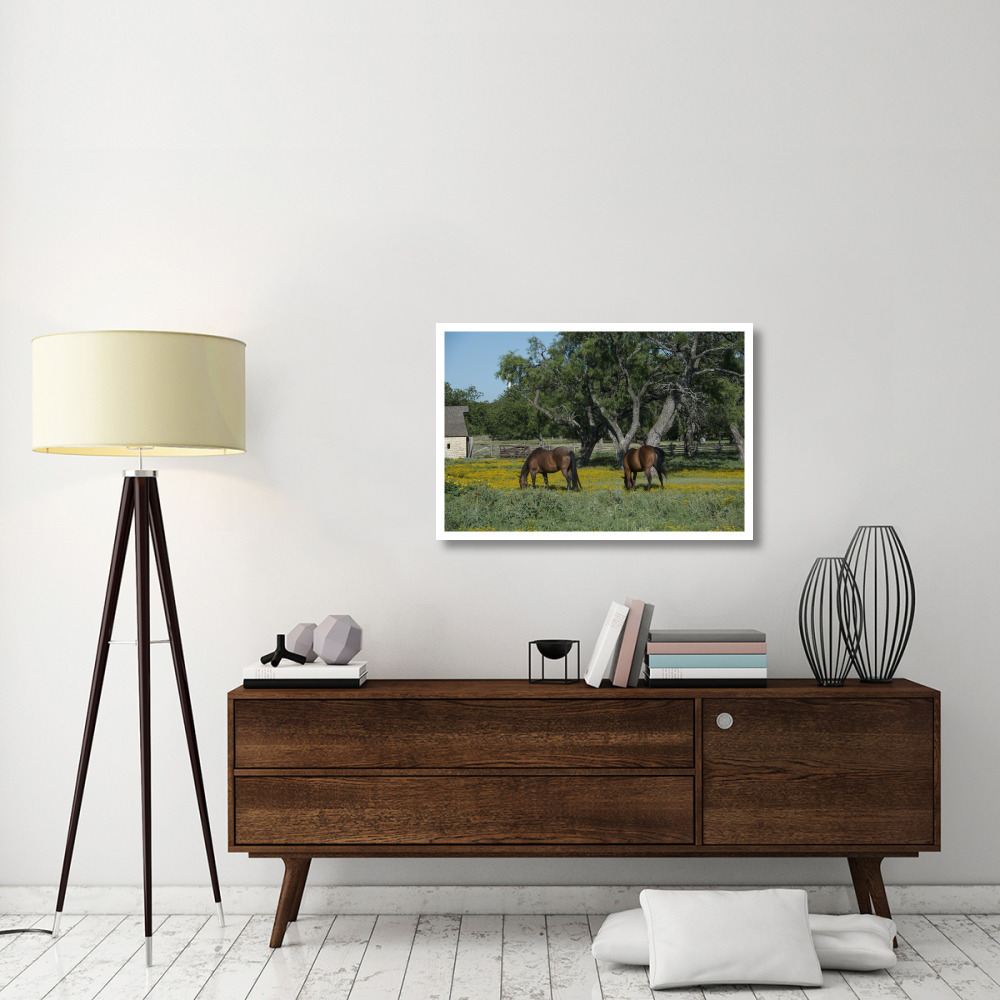 Horses grazing on a meadow in the Lyndon B. Johnson National Historical Park in Johnson City, TX-Paper Art-38&quotx26"