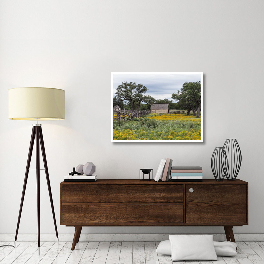 Vivid field of wildflowers in the Lyndon B. Johnson National Historical Park in Johnson City, TX-Paper Art-42&quotx32"