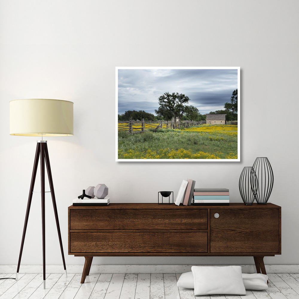 A beautiful wildflower array in a meadow in Johnson City, TX-Paper Art-50&quotx38"