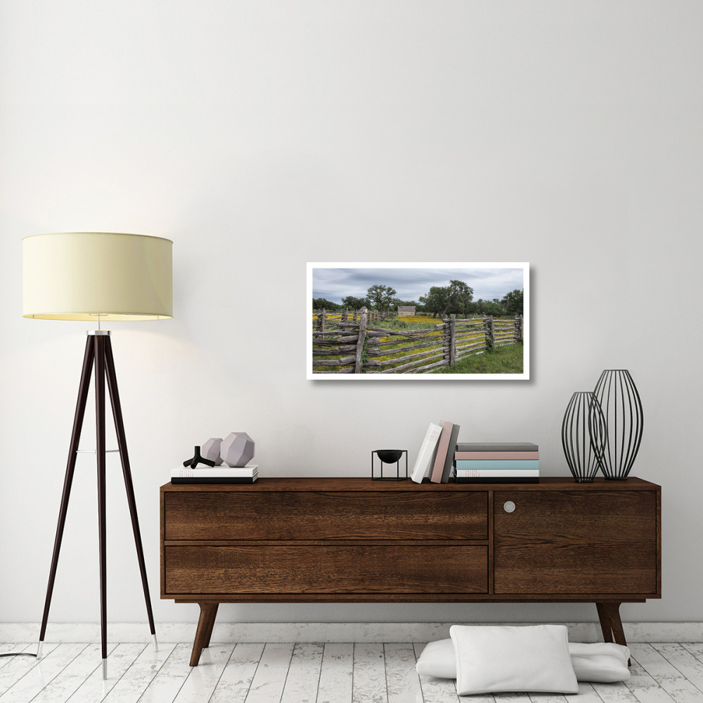Vivid field of wildflowers in the Lyndon B. Johnson National Historical Park in Johnson City, TX-Paper Art-38&quotx20"