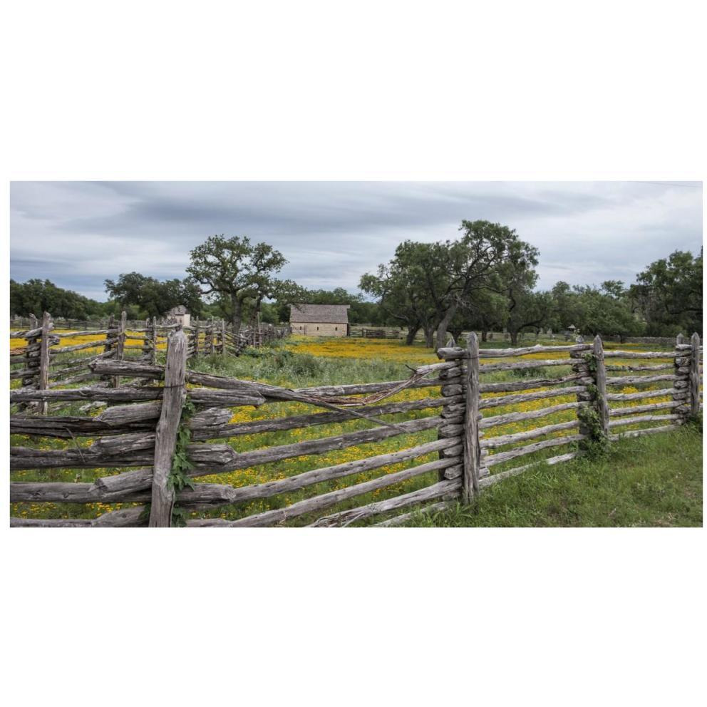 Vivid field of wildflowers in the Lyndon B. Johnson National Historical Park in Johnson City, TX-Paper Art-74&quotx38"