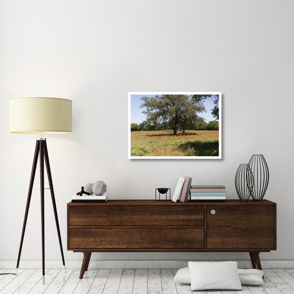 Shade trees and wildflowers on the LBJ Ranch, near Stonewall in the Texas Hill Country-Paper Art-38&quotx27"