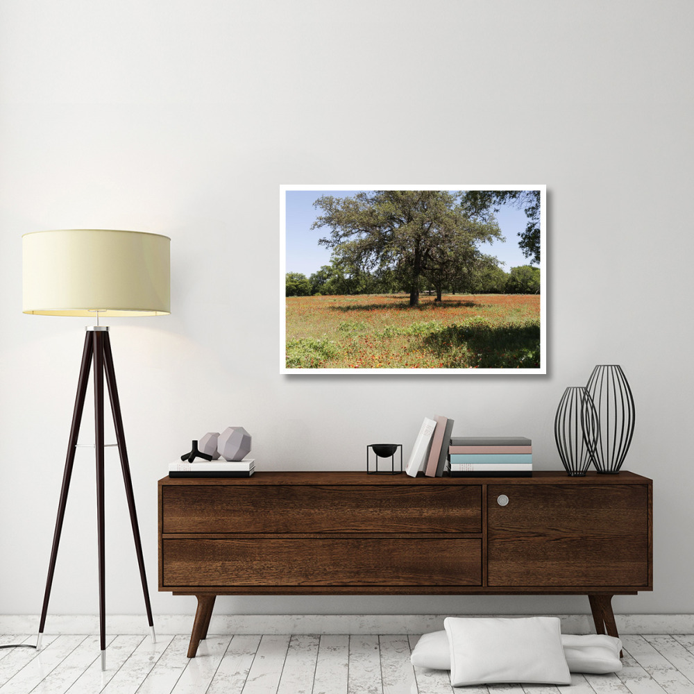 Shade trees and wildflowers on the LBJ Ranch, near Stonewall in the Texas Hill Country-Paper Art-46&quotx33"