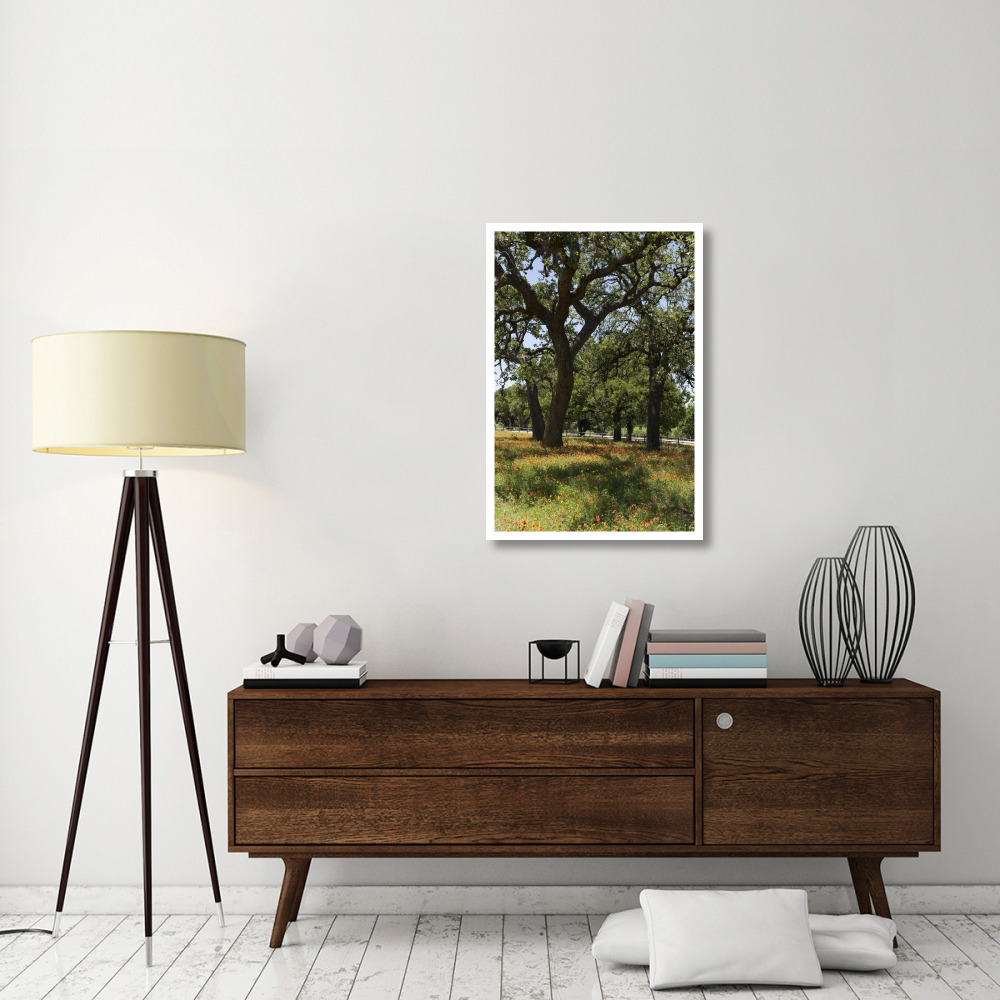 Shade trees and wildflowers on the LBJ Ranch, near Stonewall in the Texas Hill Country-Paper Art-26&quotx38"