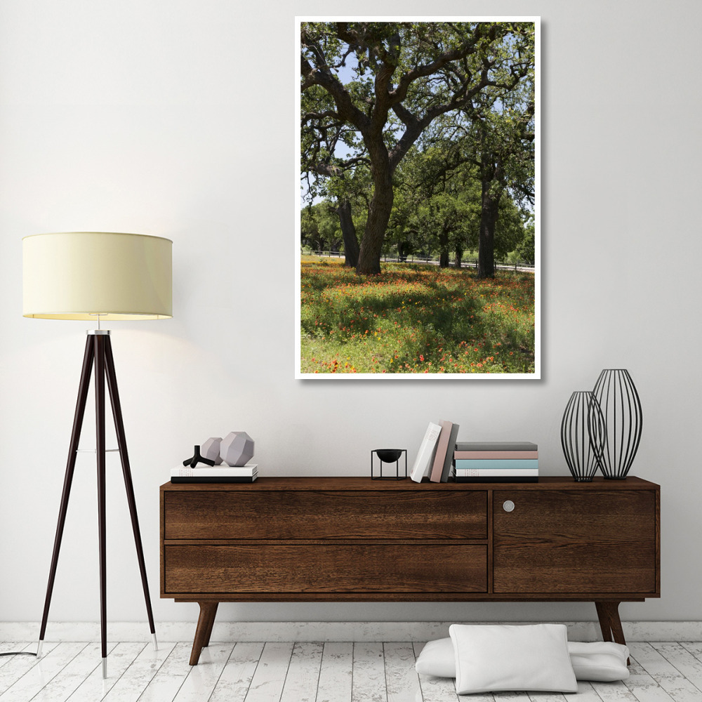 Shade trees and wildflowers on the LBJ Ranch, near Stonewall in the Texas Hill Country-Paper Art-42&quotx62"