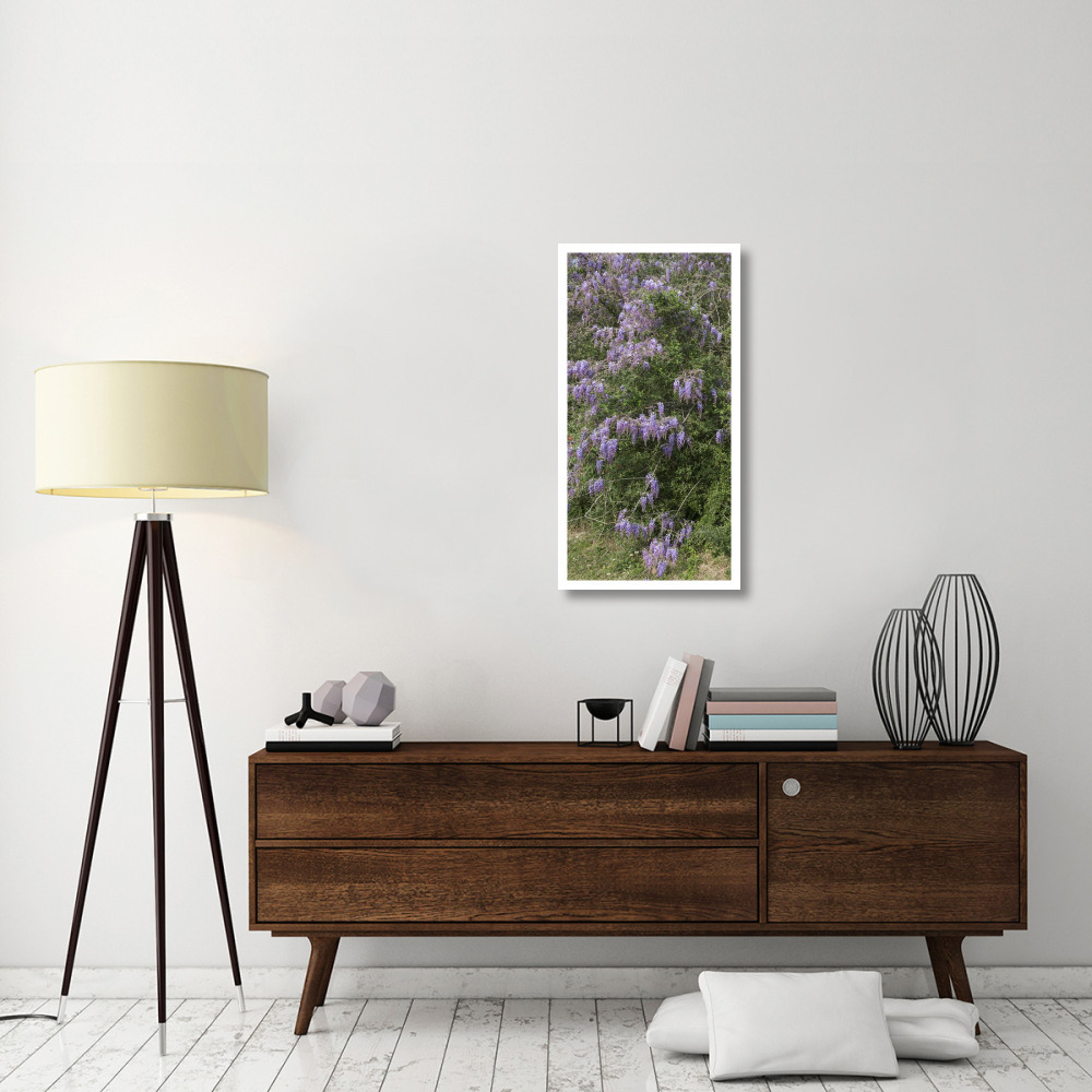 Spring flowers in Big Thicket National Preserve-Paper Art-20&quotx38"