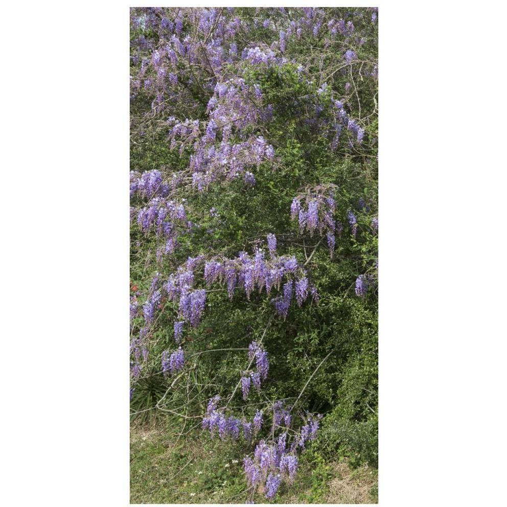 Spring flowers in Big Thicket National Preserve-Paper Art-38&quotx74"
