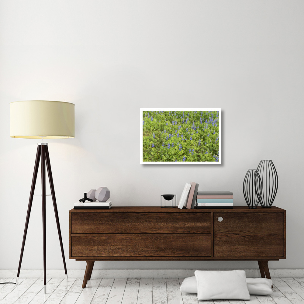 Spring flowers in Big Thicket National Preserve-Paper Art-32&quotx22"