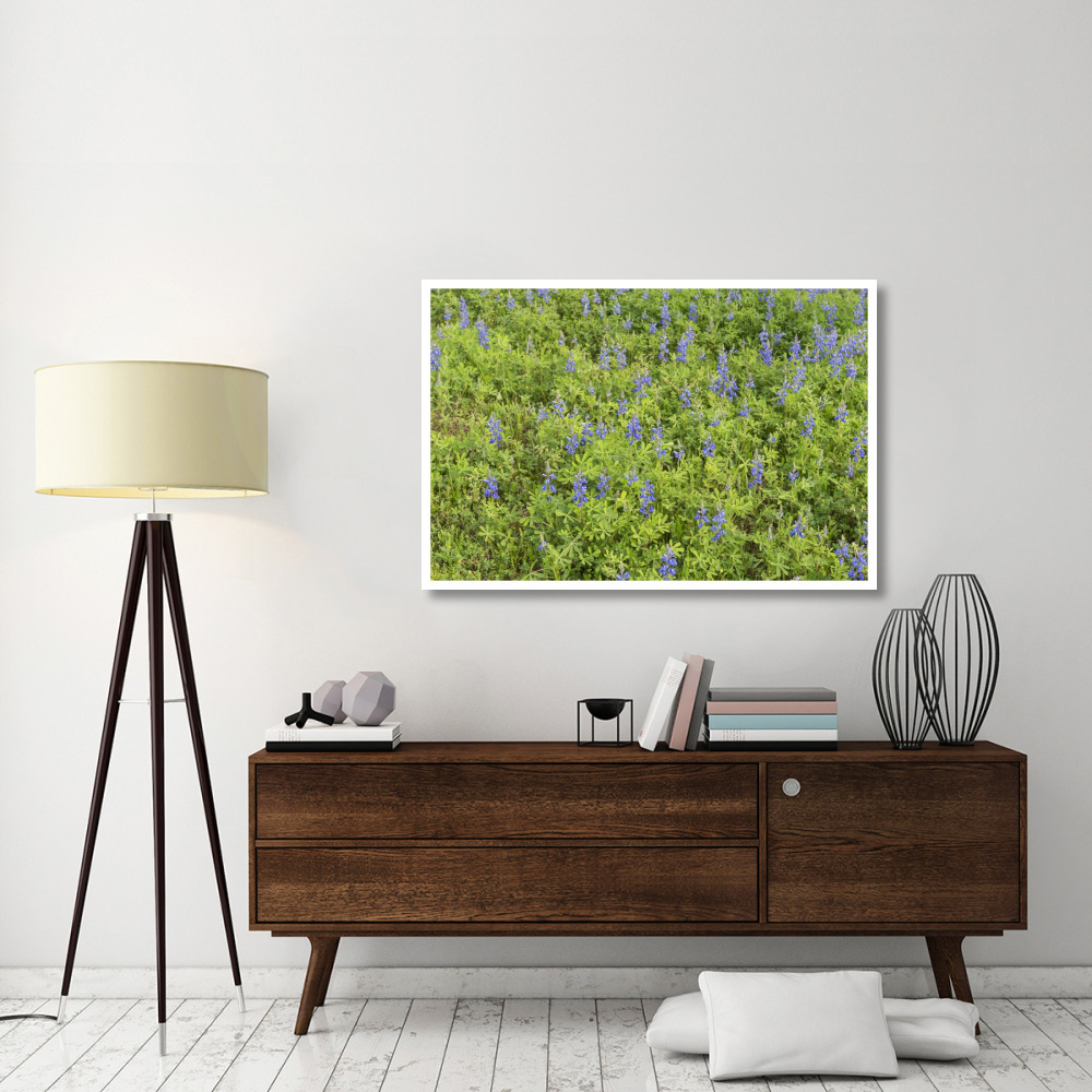 Spring flowers in Big Thicket National Preserve-Paper Art-50&quotx34"