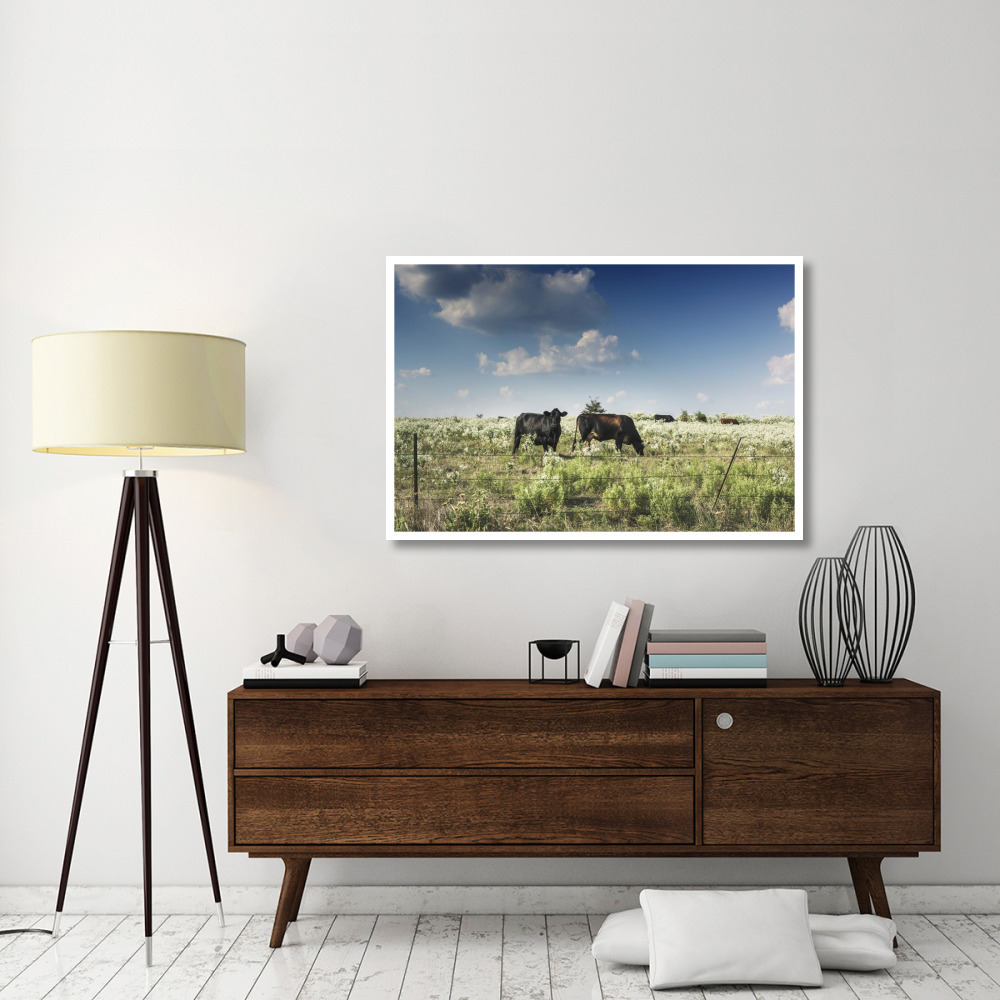 Cows in a field of wildflowers in rural Hunt County near Greenville, TX-Paper Art-50&quotx34"