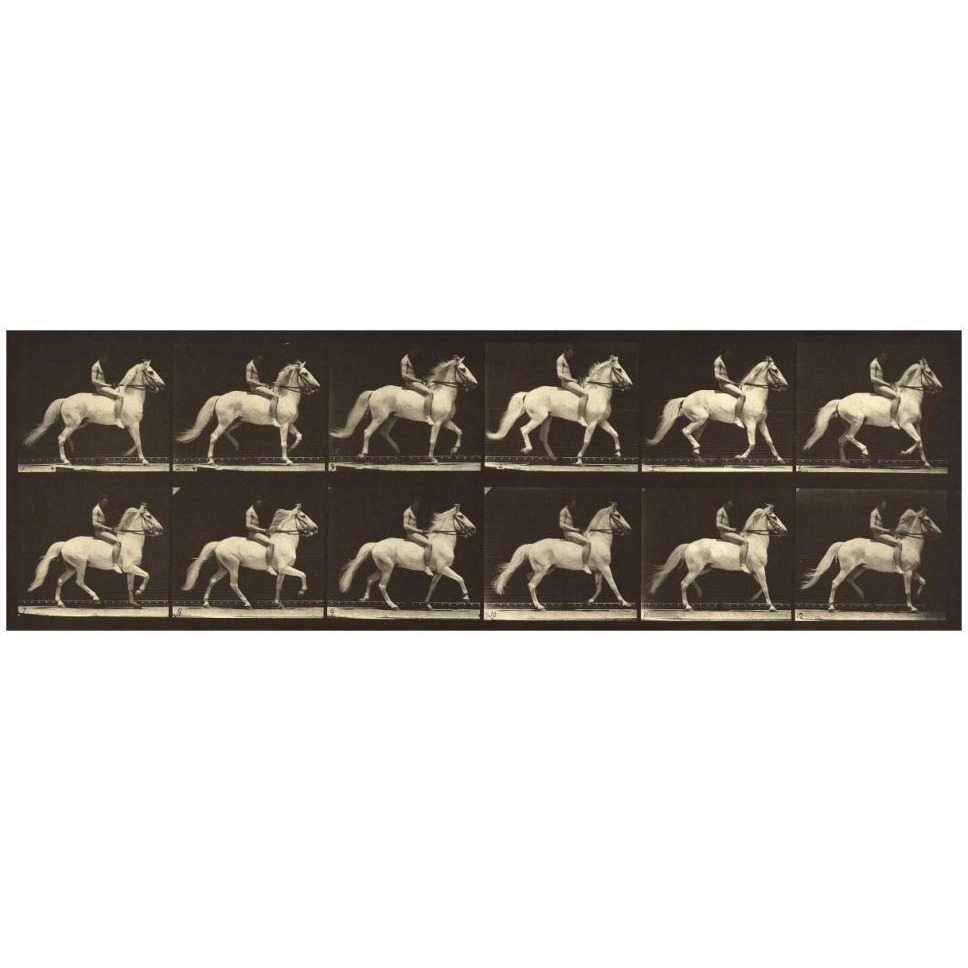 Motion Study Man Riding A Horse-Paper Art-46&quotx16"