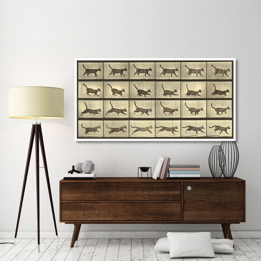 Motion Study Running Cat-Paper Art-74&quotx38"