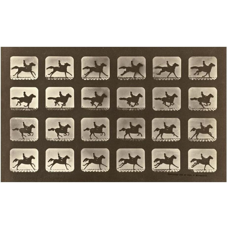 Motion Study Man Riding A Galloping Horse-Paper Art-24&quotx15"